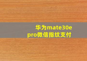 华为mate30e pro微信指纹支付